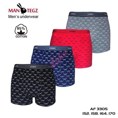 Teenager's boxer Mantegz AF3305