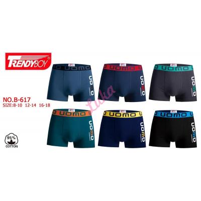 Teenager's boxer TrendyBoy B-617