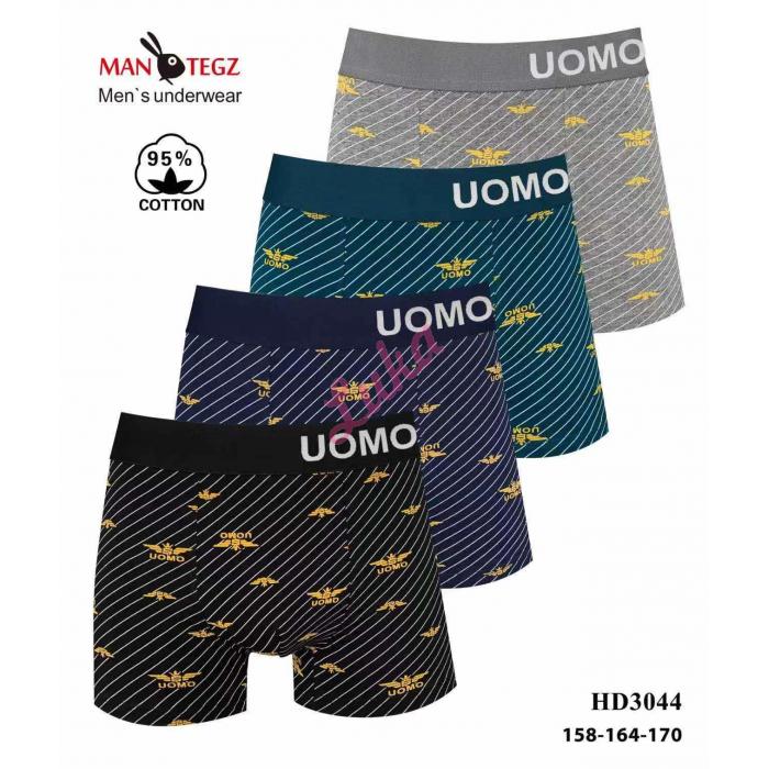 Teenager's boxer Mantegz HD3048