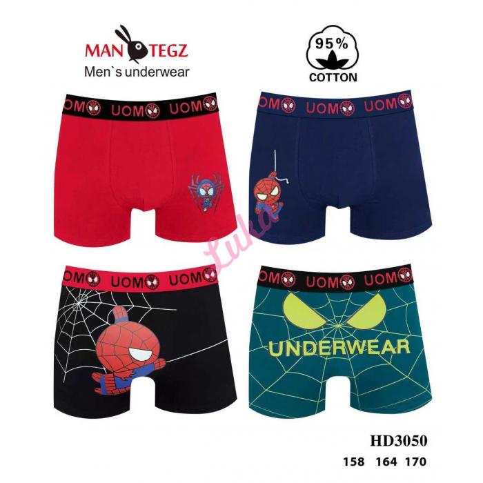 Teenager's boxer Mantegz HD3045