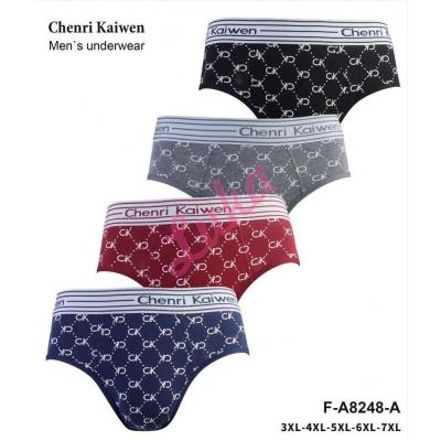 Men's panties Chenri Kaiwen FA8248A