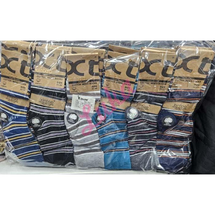 Men's socks Xintao MQ-351