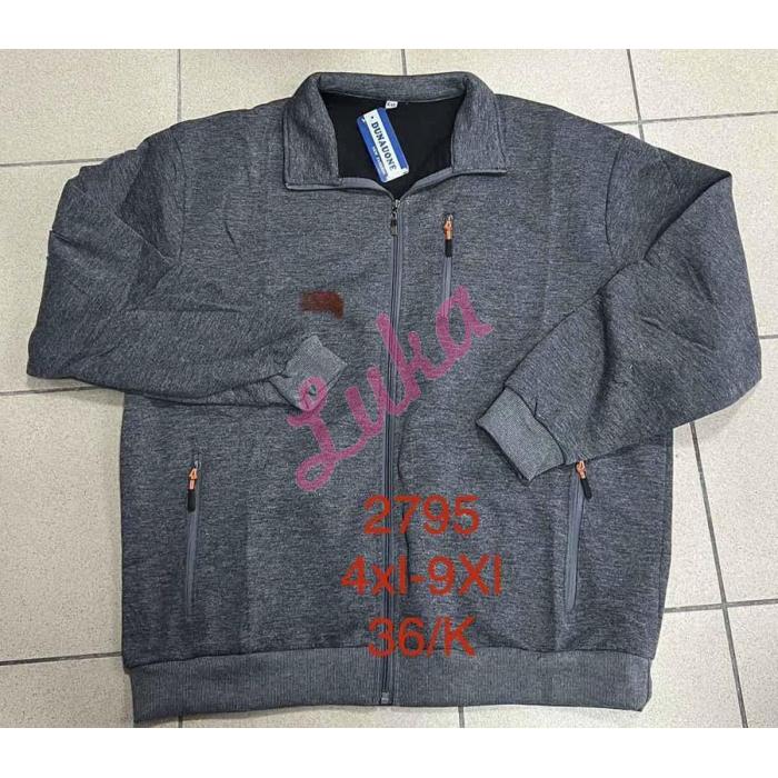 Men's sweatshirt Dunavone R-2476