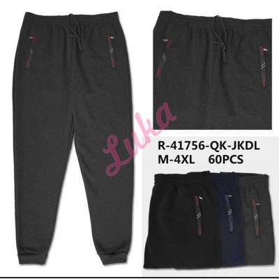 Men's Pants Dunavone R-41790