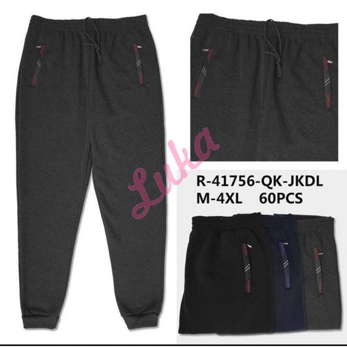 Men's Pants Dunavone R-41790