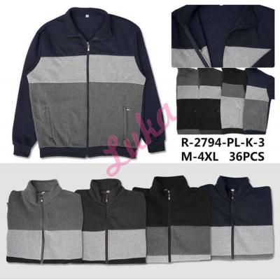 Men's sweatshirt Dunavone R-2550