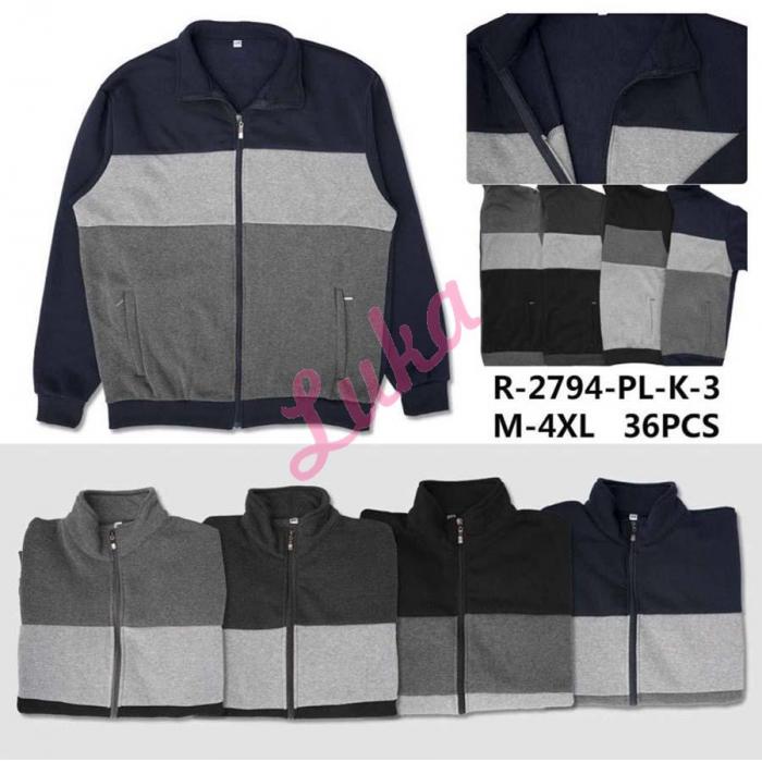 Men's sweatshirt Dunavone R-2550