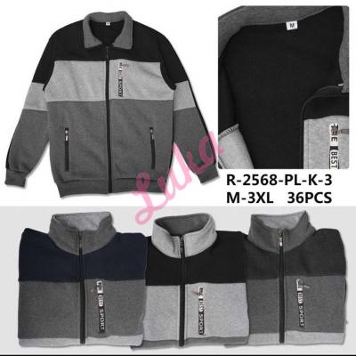 Men's sweatshirt Dunavone R-2476