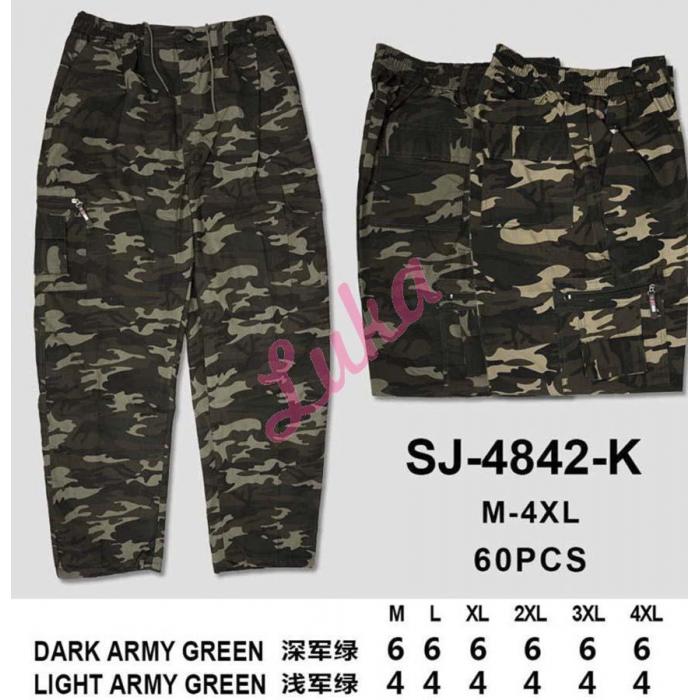 Men's Pants Dunavone Y-41737