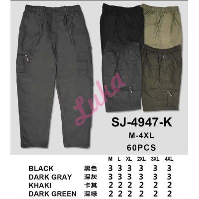 Men's Pants Dunavone SJ-4842-K