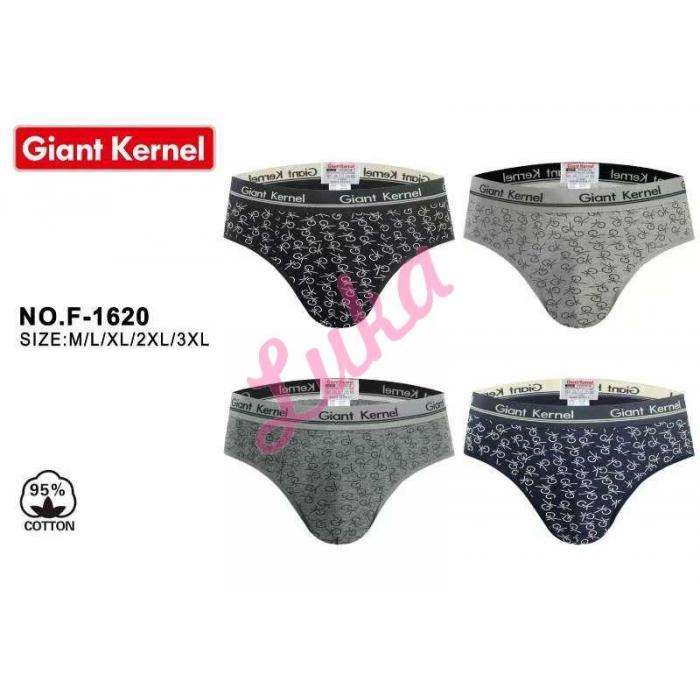 Men's briefs Trendy Boy B847