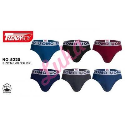 Men's briefs Trendy Boy NO-5220