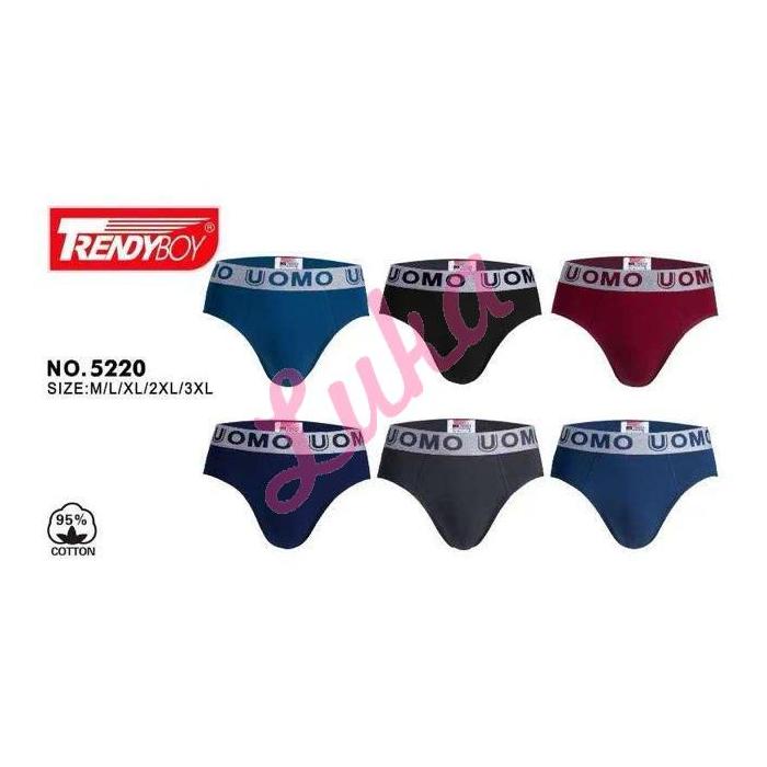 Men's briefs Trendy Boy NO-21039
