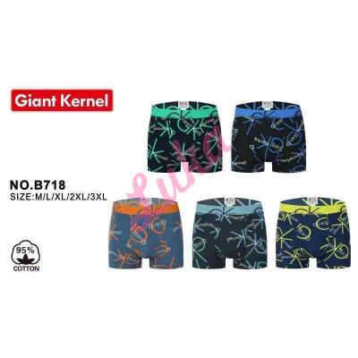 Men's boxer Trendy Boy B801