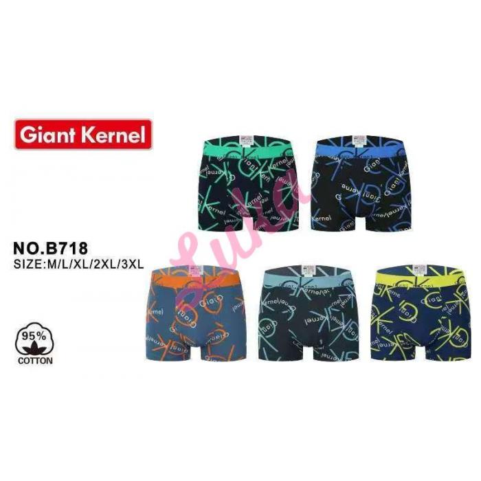 Men's boxer Trendy Boy B801