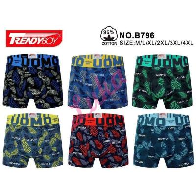 Men's boxer Trendy Boy B800