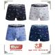 Kid's boxer Trendy Boy FY13056