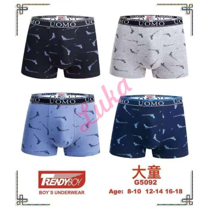 Kid's boxer Trendy Boy FY13056
