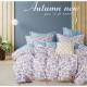 Bedding set DaFuTing 200x220 4cz. NOO-45002-2