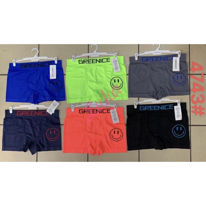 Men's boxer Greenice 4743
