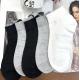 Women's low cut socks C18-DN24-380
