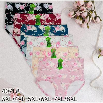 Women's bamboo panties C&R 4061