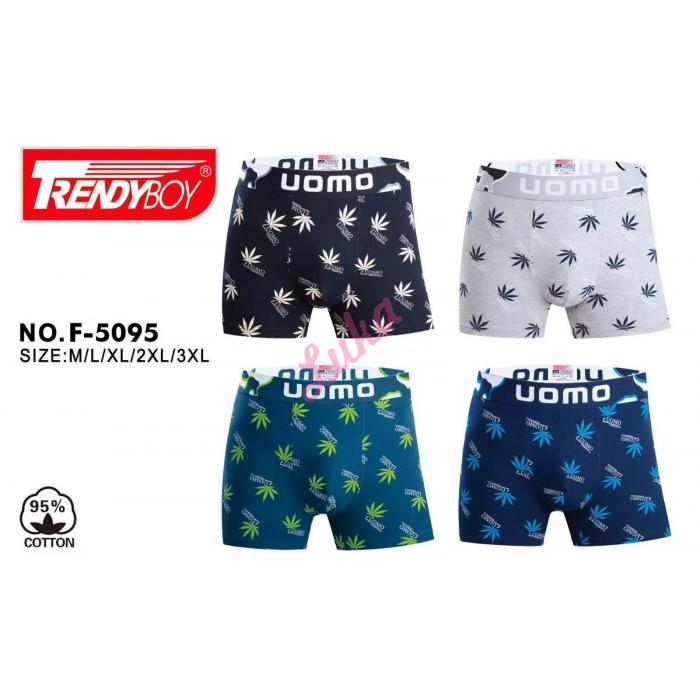 Men's boxer Mantegz F-8515