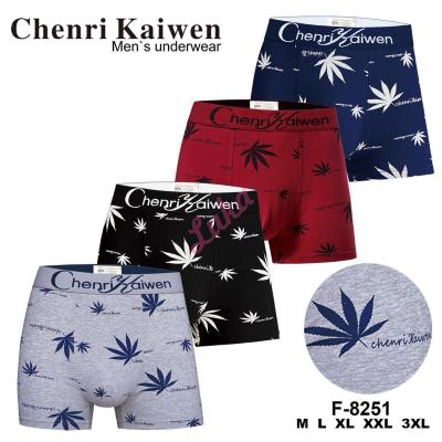 Men's boxer Chenri Kaiwen F-8251