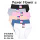 Women's panties Power Flower 6458