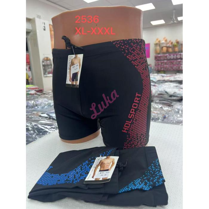 Men's swimming Trunks Vistoria 225