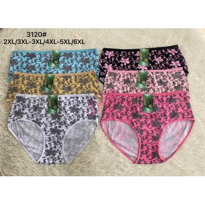 Women's bamboo panties C&R 3120