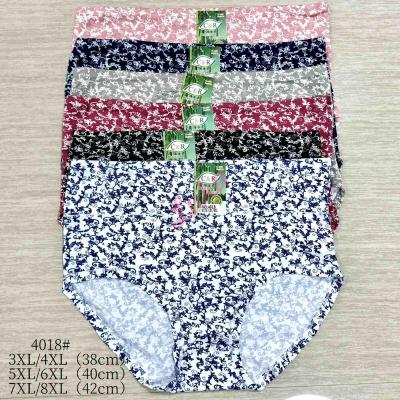 Women's bamboo panties C&R 4018