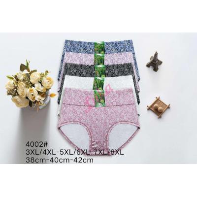 Majtki damskie bambusowe C&R 4029