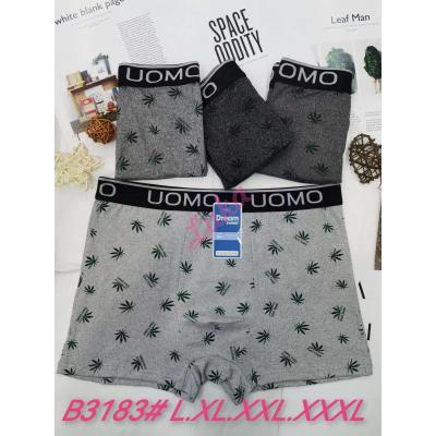 Men's boxer shorts Sweet Dream B3183