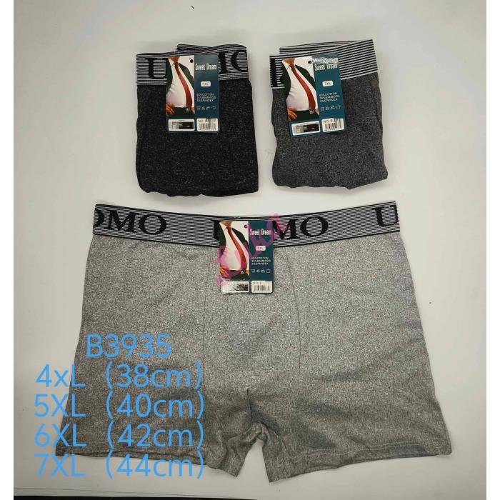 Men's boxer shorts Sweet Dream B3961