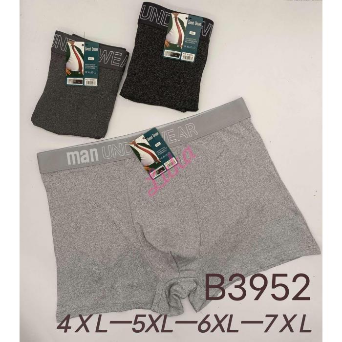 Men's boxer shorts Sweet Dream B3965
