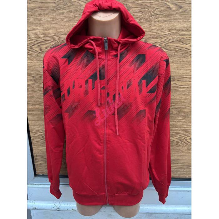 Men's hoodie NOO-5513