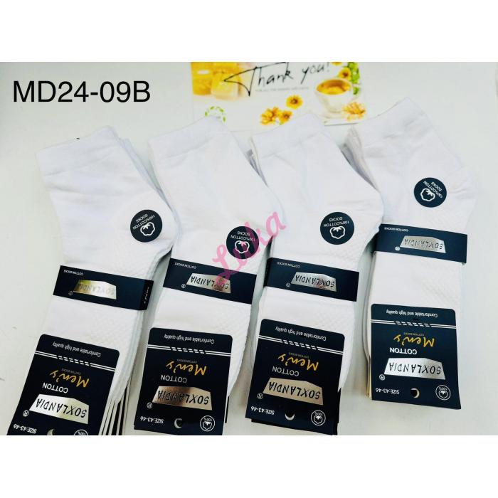 Men's socks Soxlandia MD24-03