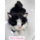 Zabawka 1773