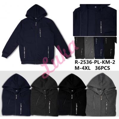 Men's hoodie KOP-2536