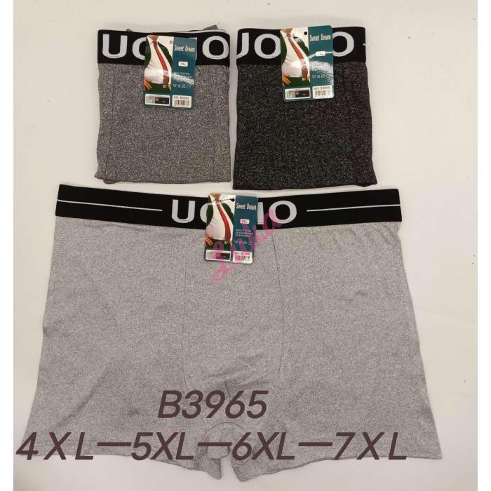 Men's boxer shorts Sweet Dream B3236