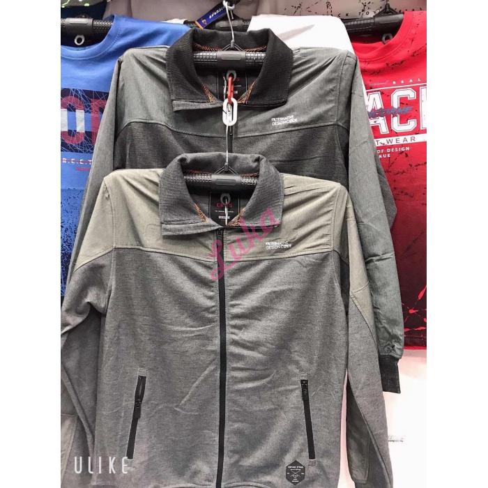 Men's hoodie KOP-6315