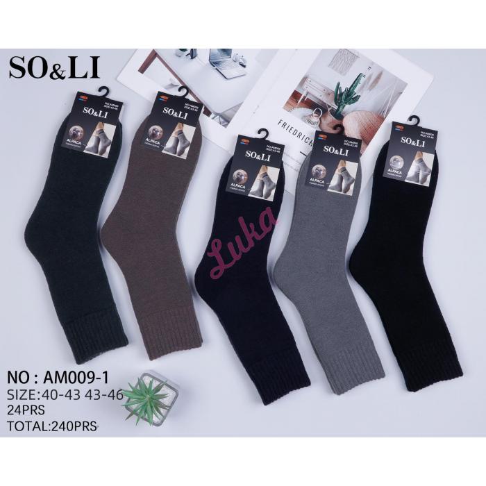 Men's socks THERMO SO&LI AL008