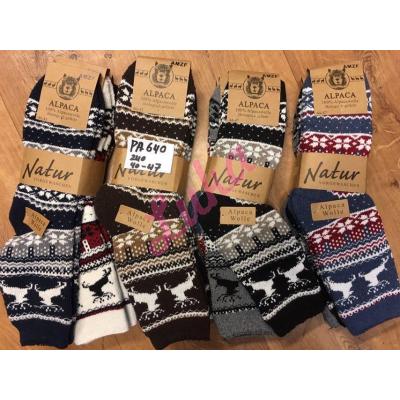 Men's Socks ALPAKA AMZF RRY-PA609