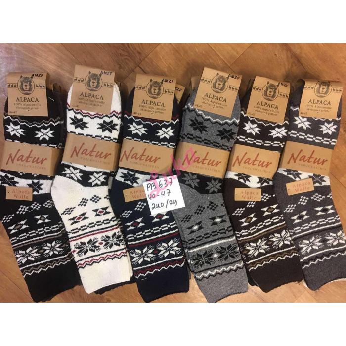 Men's Socks ALPAKA AMZF RRY-PA640