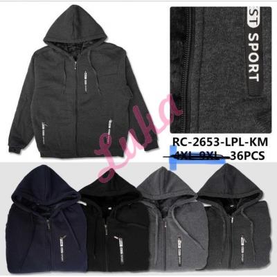 Men's hoodie KOP-2660