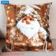 Pillowcase with print 40x40 BNR-PX337