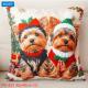 Pillowcase with print 40x40 BNR-PX323