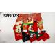 Women's socks Auravia SN7630
