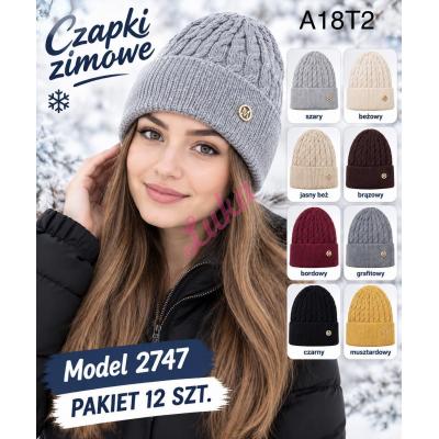 Women`s cap DYT-2747
